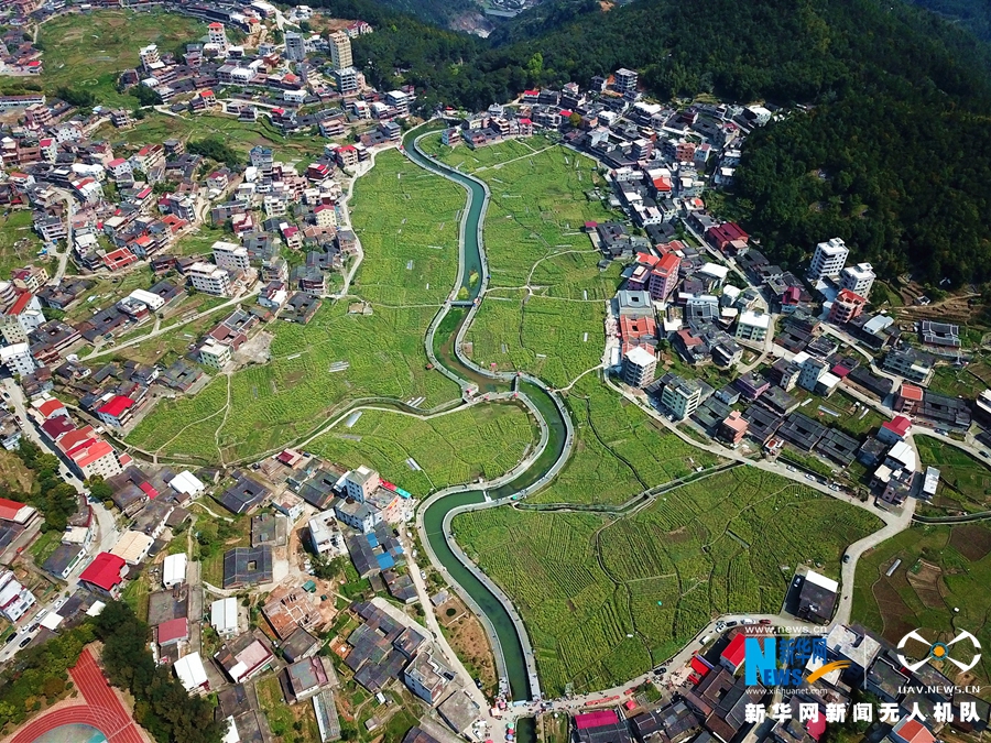 泉州虹山乡：油菜花开引客来