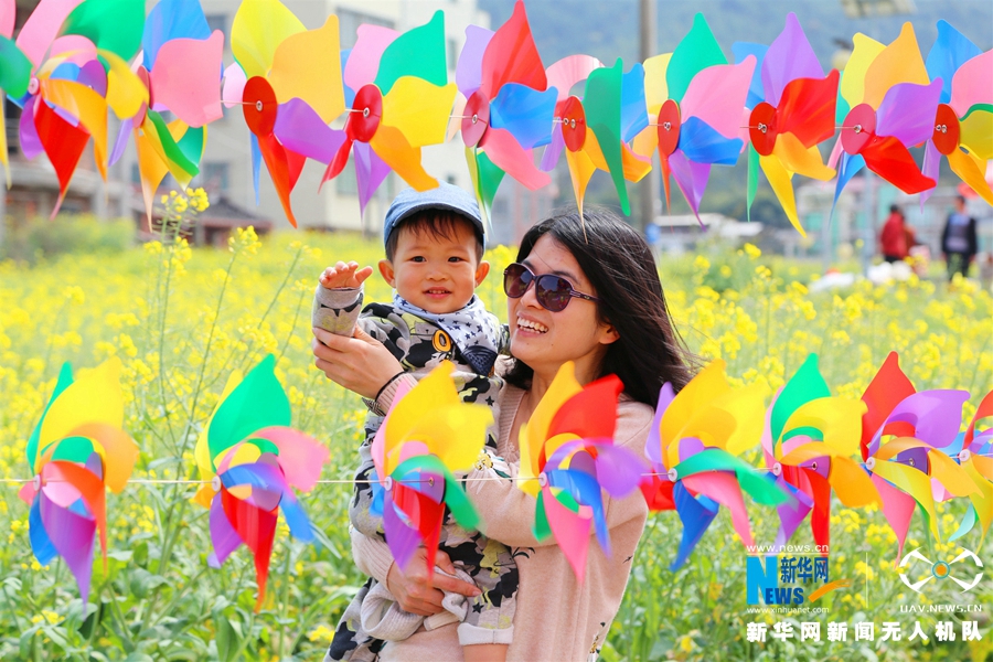 泉州虹山乡：油菜花开引客来