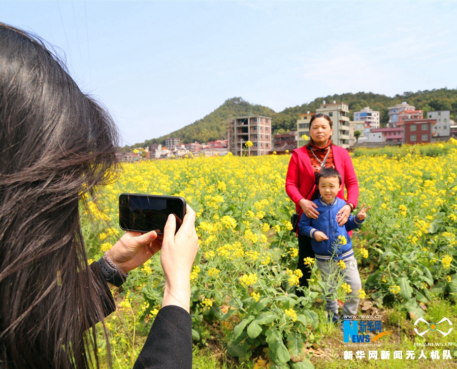 泉州虹山乡：油菜花开引客来