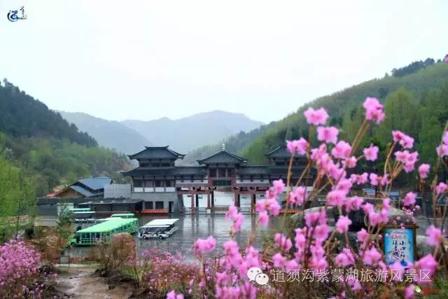 莫愁探春何处去 道须沟美景等你来
