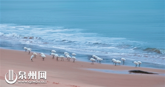炎炎夏日 别错过泉州这些景美人少的海滩