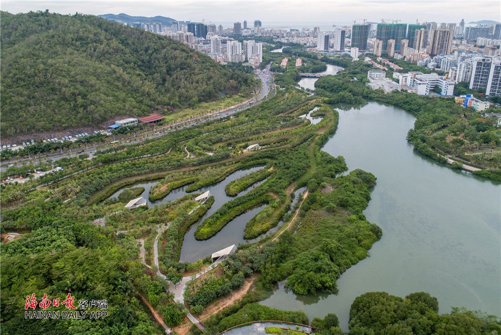 20190625ww三亚红树林湿地公园06_副本.jpg