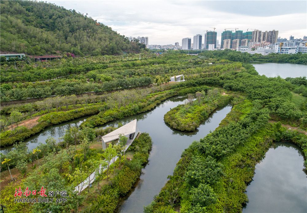 20190625ww三亚红树林湿地公园08_副本.jpg