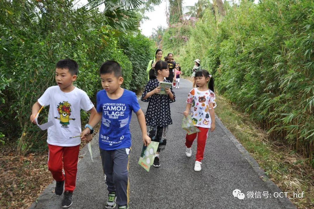 【课程报名】华侨城湿地自然学校12月课程招募及预告