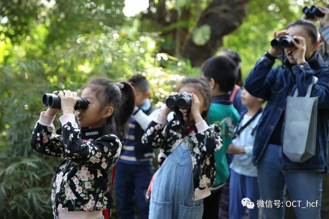 【课程报名】华侨城湿地自然学校12月课程招募及预告