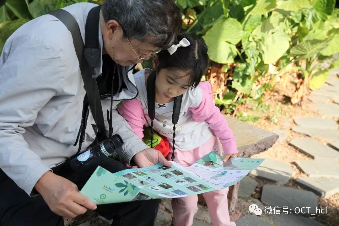 【课程报名】华侨城湿地自然学校12月课程招募及预告