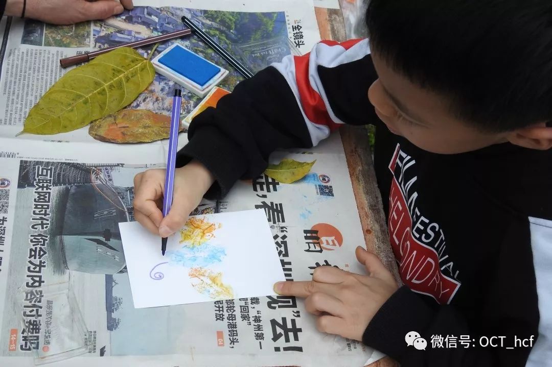 【课程报名】华侨城湿地自然学校12月课程招募及预告