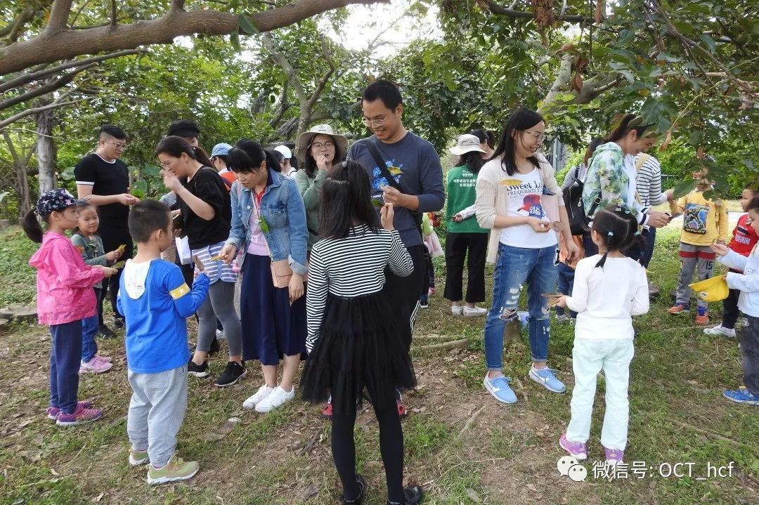 【课程报名】华侨城湿地自然学校12月课程招募及预告