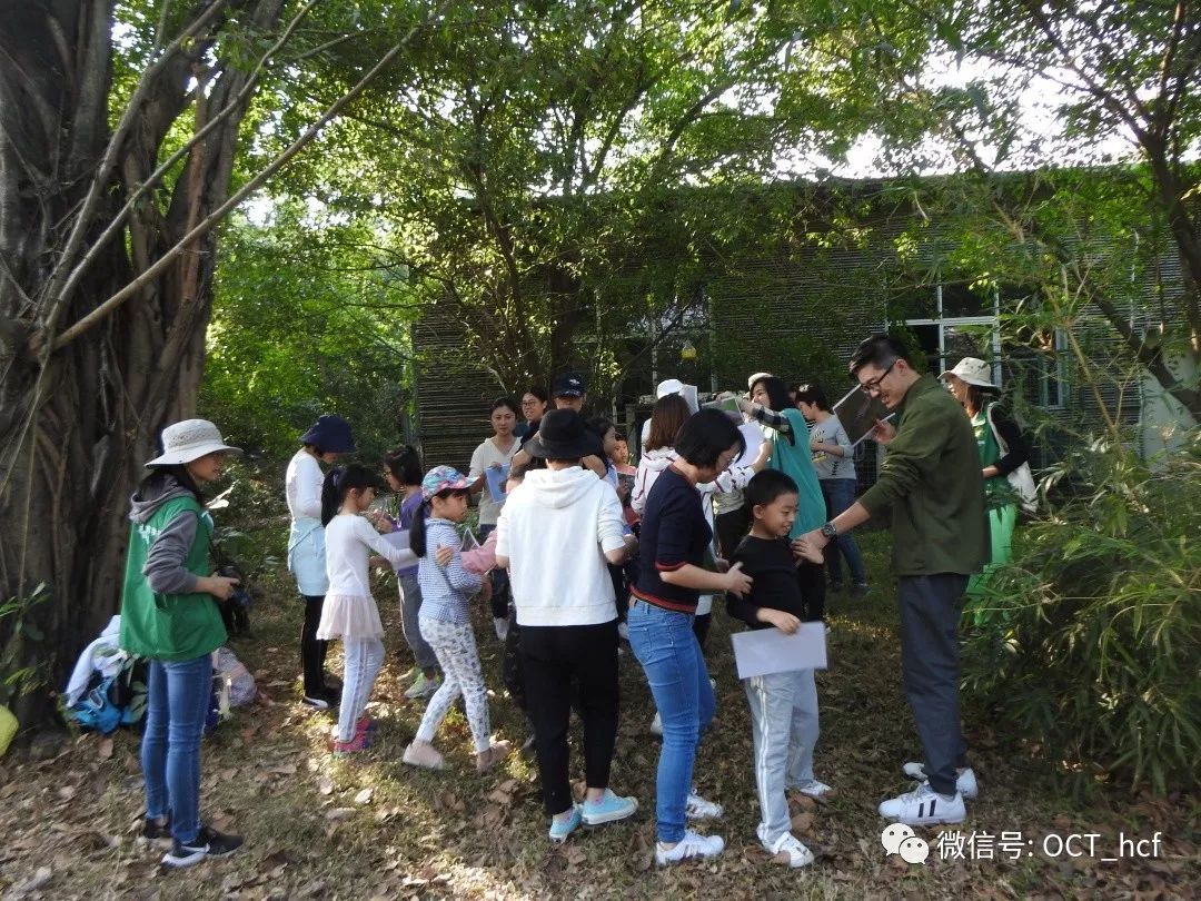 善听鸟语，一鸟一世界 | 华侨城湿地活动回顾