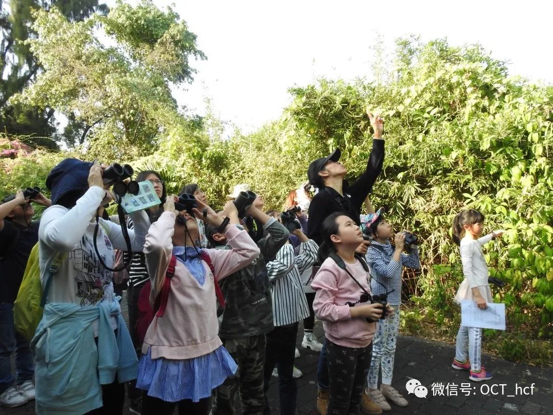 善听鸟语，一鸟一世界 | 华侨城湿地活动回顾