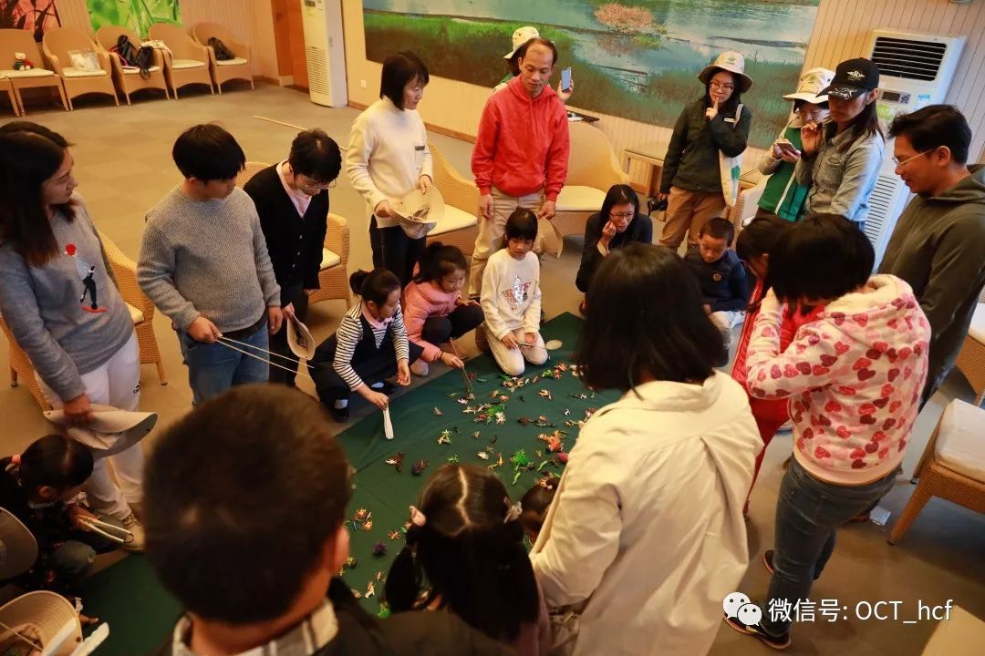 善听鸟语，一鸟一世界 | 华侨城湿地活动回顾