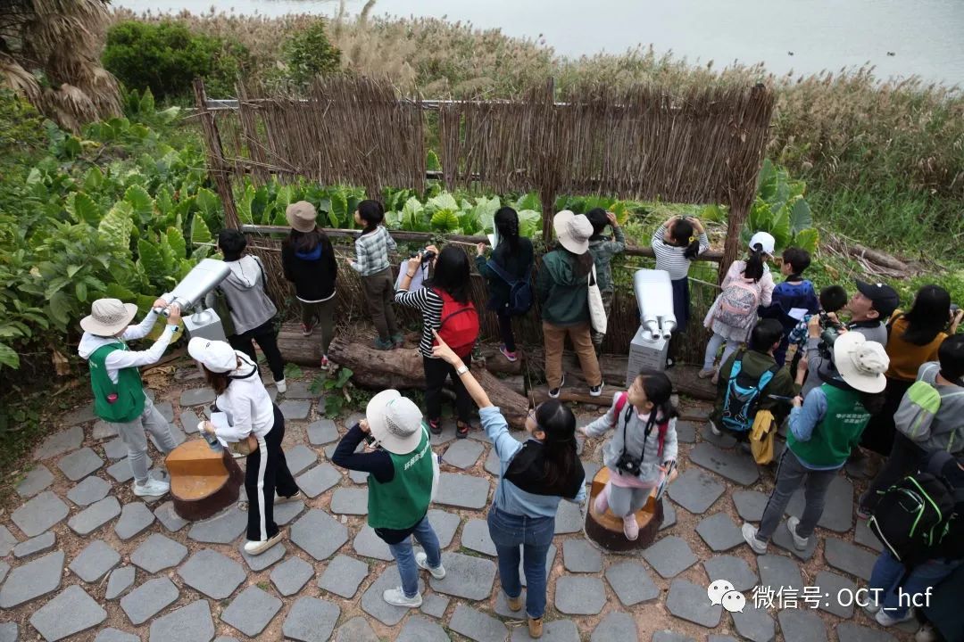 善听鸟语，一鸟一世界 | 华侨城湿地活动回顾
