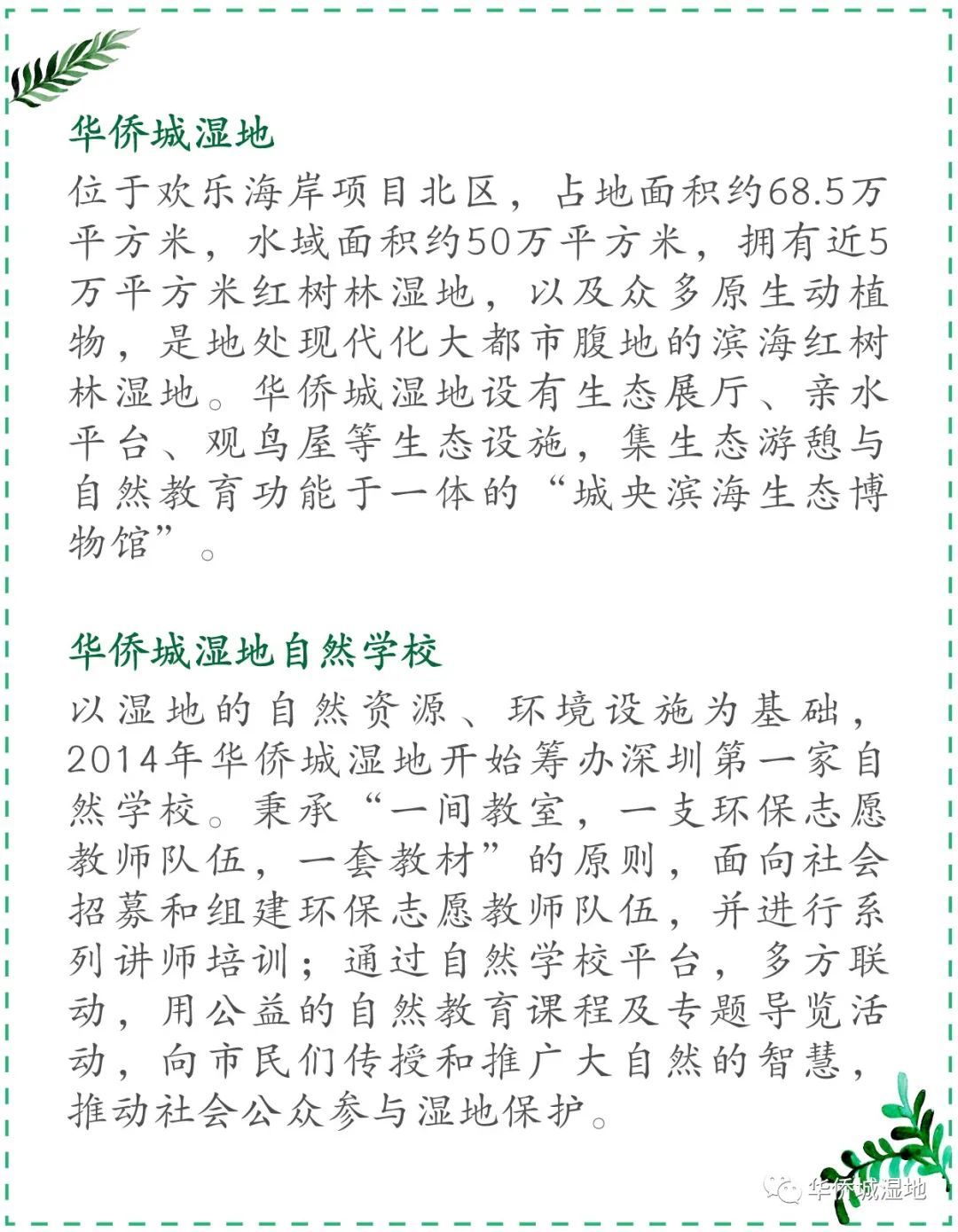 身边的自然 | 阳台上的“偷窥”事件