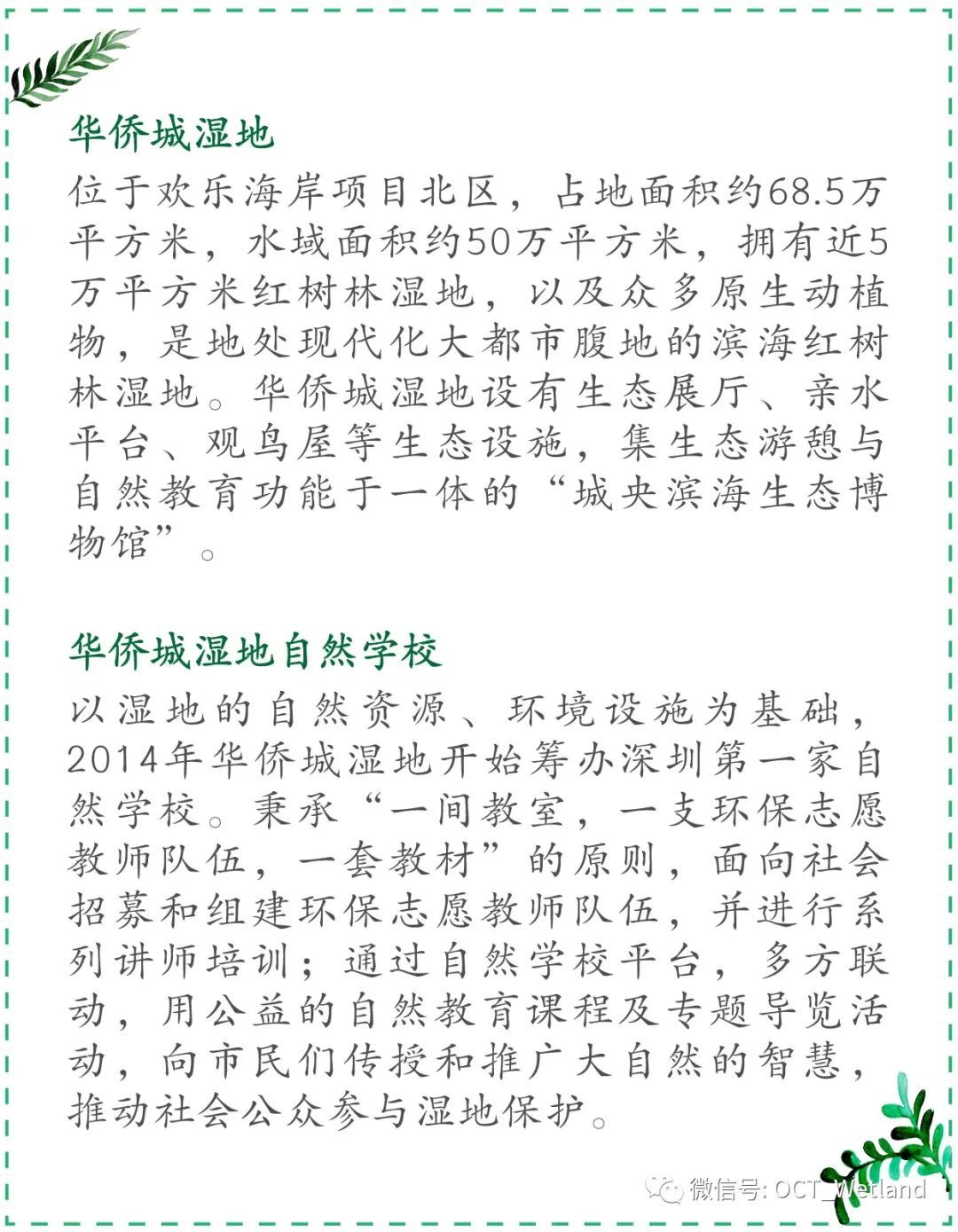 【科普】金眶鸻