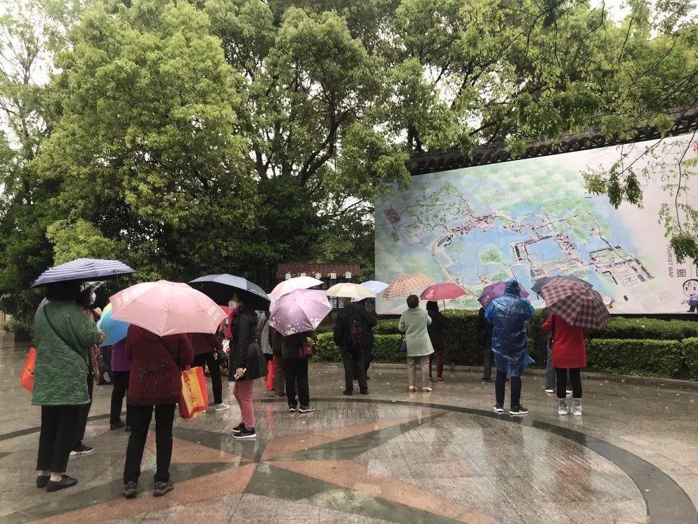 春来沙家浜！昨日，镇江旅游团畅游烟雨芦荡