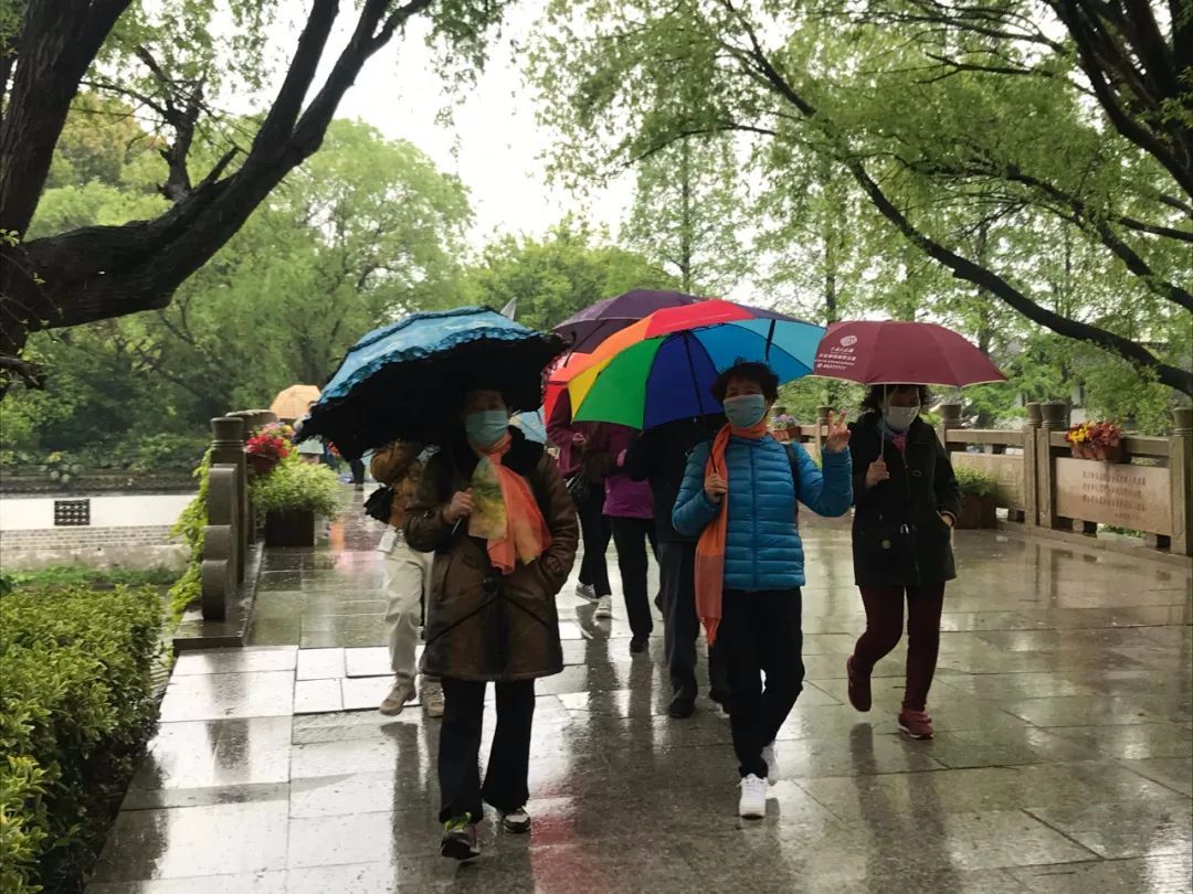 春来沙家浜！昨日，镇江旅游团畅游烟雨芦荡