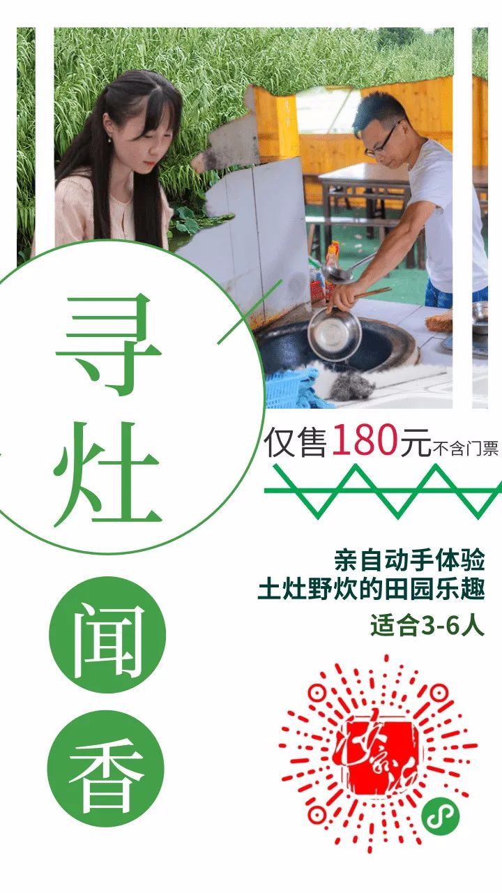 春来沙家浜！昨日，镇江旅游团畅游烟雨芦荡
