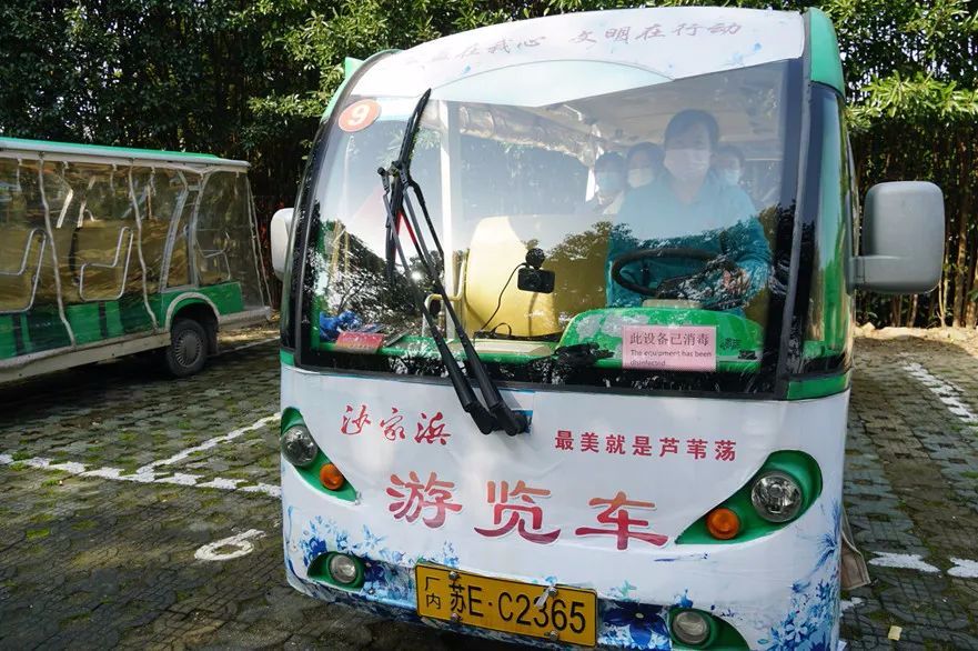 春来沙家浜！昨日，镇江旅游团畅游烟雨芦荡