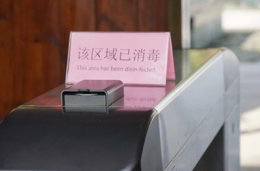 春来沙家浜！昨日，镇江旅游团畅游烟雨芦荡