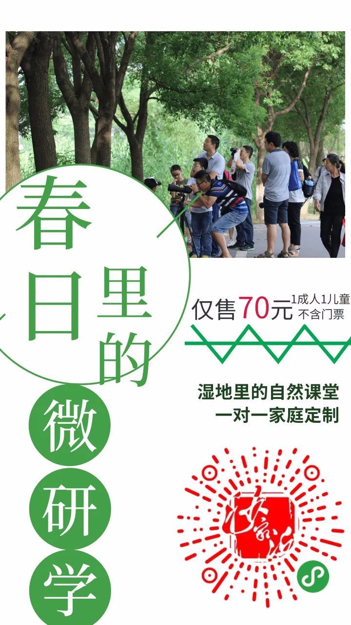 春来沙家浜！昨日，镇江旅游团畅游烟雨芦荡