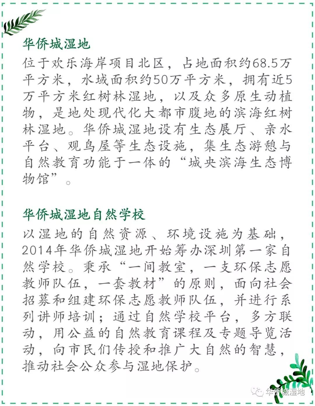 华侨城湿地科普小文 | 是丝光椋鸟不是丝光惊鸟