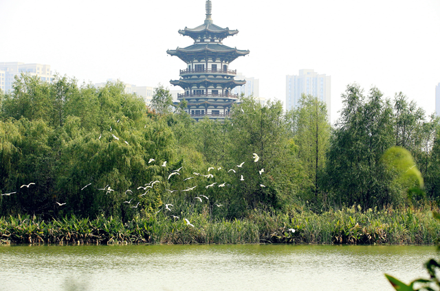 微信图片_20200423110956_副本_副本